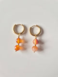 Pendientes CAPRI